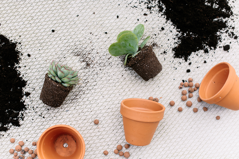 household cleaning Eco-friendly