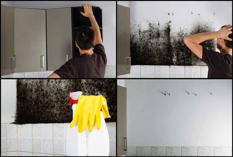 clean home